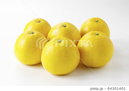 河内晩柑　美生柑 64301401