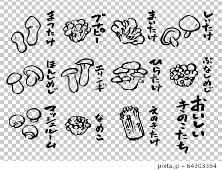 きのこイラスト 64303364