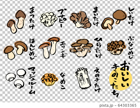 蘑菇插圖 蘑菇插圖 64303365