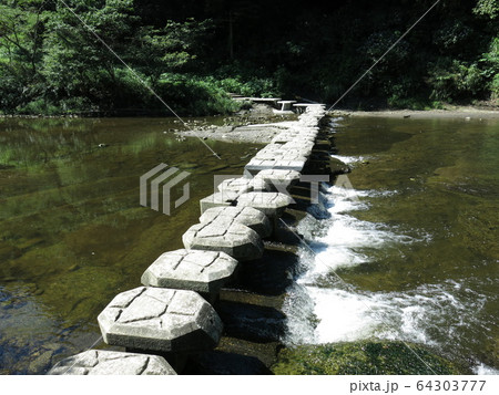 養老渓谷の中瀬遊歩道に設けられている飛び石 64303777