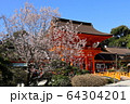 赤い門と桜 64304201