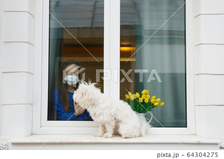 Young girl looking out from the window to her pet dog 64304275