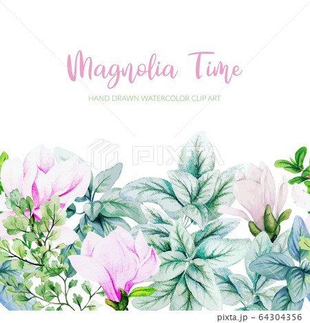 Watercolor Magnolia Silver Leaves And Monstera のイラスト素材