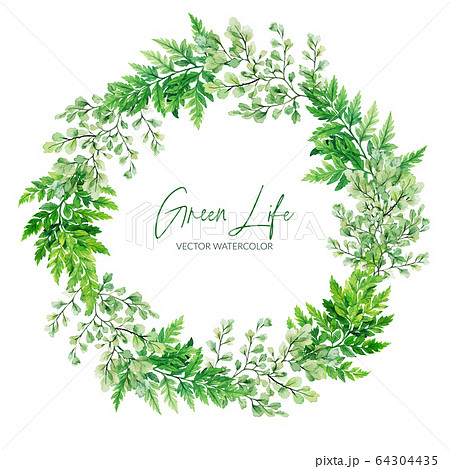 Green watercolor ferns wreath, hand drawn vector illustration Green watercolor ferns wreath, hand drawn vector illustration 64304435