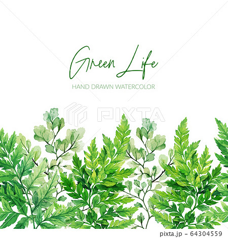 Watercolor green leaves, the ferns seamless border Watercolor green leaves, the ferns seamless border 64304559