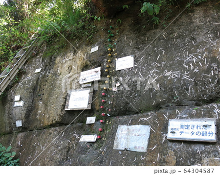 夏のチバニアン（養老川流域田淵の地磁気逆転地層） 64304587
