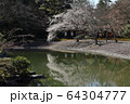 日本庭園 64304777