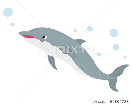 イルカのイラスト素材