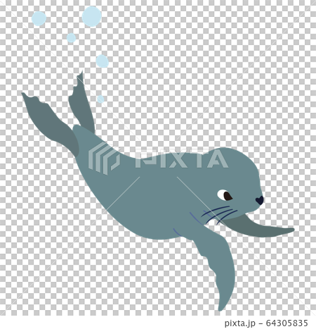 簡單的海獅圖 64305835