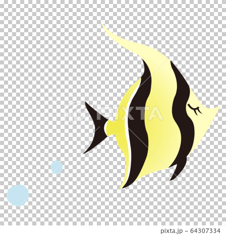 simple angelfish illustration simple angelfish illustration 64307334
