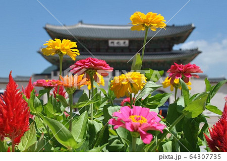 景福宮、朝鮮王朝、王宮、韓国、ソウル、特別市、けいふくきゅう、大韓民国 64307735