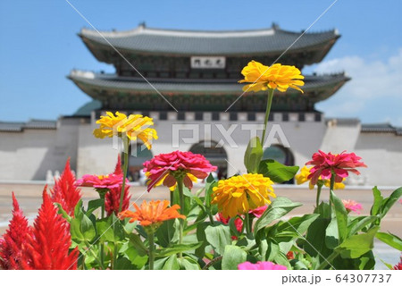 景福宮 朝鮮王朝 王宮 韓国 ソウル特別市 景福宮 朝鮮王朝 王宮 韓国 ソウル特別市 64307737