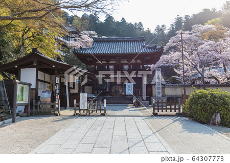 岡寺 64307773