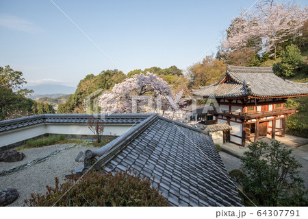岡寺 64307791