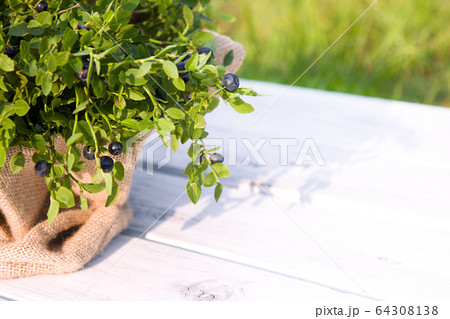 Blueberries in cloth bag on wooden background Blueberries in cloth bag on wooden background 64308138