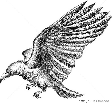 The Vector logo eagle for tattoo or T-shirt design or outwear.   64308288