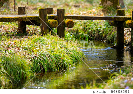 森林の遊歩道　木道　ハイキング　イメージ 64308591