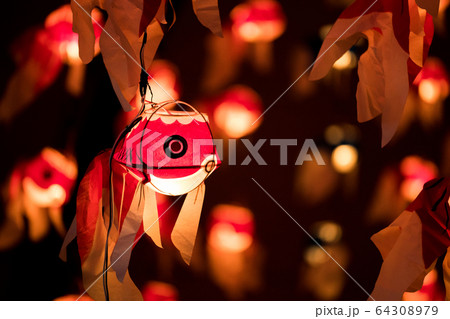 金魚 金魚 64308979