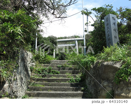 勝浦城址(八幡岬公園) 勝浦城址(八幡岬公園) 64310140