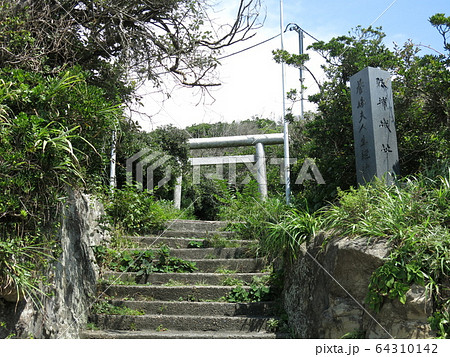 勝浦城址(八幡岬公園) 勝浦城址(八幡岬公園) 64310142