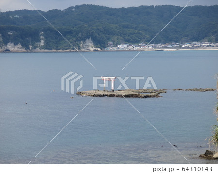 勝浦市の八幡岬公園から見た平島の赤い鳥居 64310143