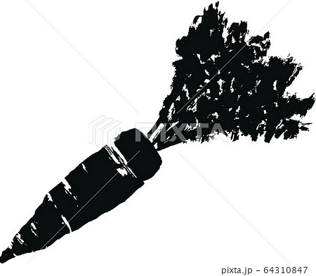 にんじん 水彩画のイラスト素材 64310847 Pixta