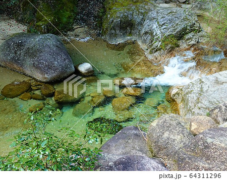 澄んだ美しい川の石水渓谷の風景 64311296