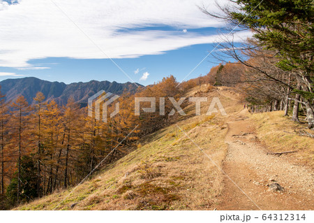 【東京都】秋の雲取山の登山道 64312314
