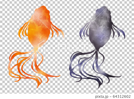 金魚紅色和黑色水彩風格的插圖 64312602