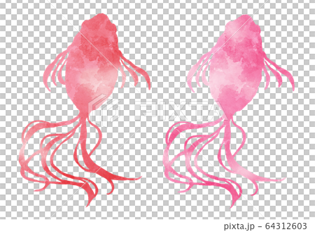 紅色和粉紅色的金魚水彩插圖 64312603