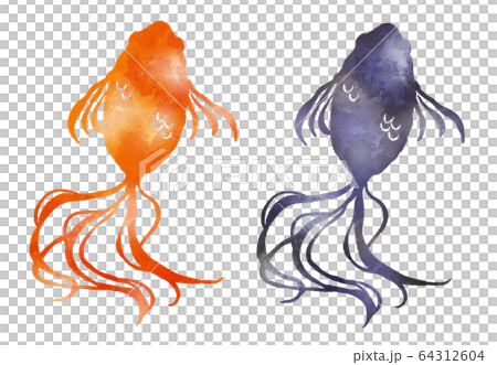 金魚紅色和黑色水彩風格的插圖 64312604