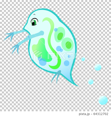 Illustration of a cute water flea 64312702