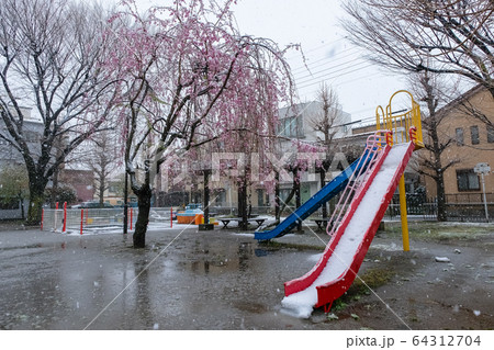 埼玉県蕨市 いちょう公園 雪 64312704