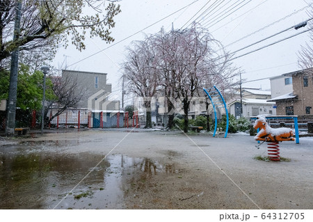 雪の日の公園 埼玉県蕨市 三和稲荷公園 64312705