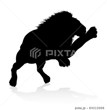 Lion Animal Silhouette 64313006