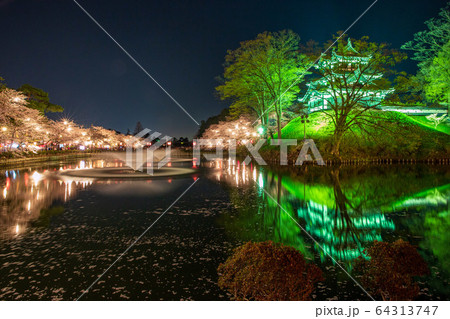高田城の夜桜 高田城の夜桜 64313747