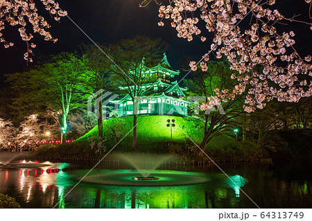 高田城の夜桜 高田城の夜桜 64313749