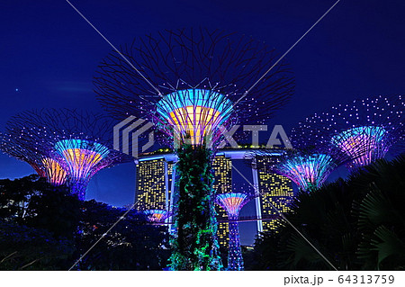 シンガポールの観光名所ガーデンズバイザベイのスーパーツリーとマリーナベイサンズの夜景の写真素材