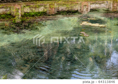 Pure holy water located in Tirta Empul in Bali 64313846