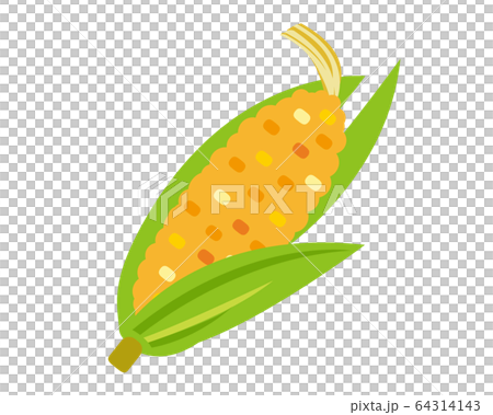 玉米 玉米 64314143