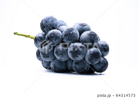 ナガノパープル 大粒ブドウ 64314573