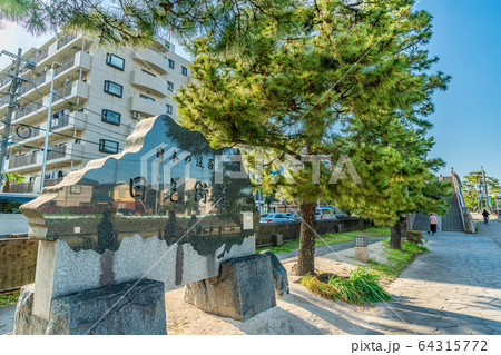 日光街道 国指定名勝 草加松原 64315772