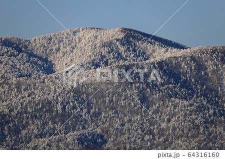 樹氷　雪山　エゾマツ　トウヒ　冬山 64316160