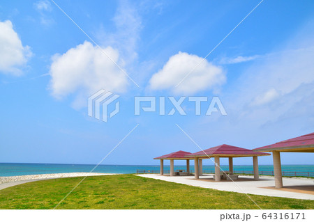 豊崎総合公園 64316171