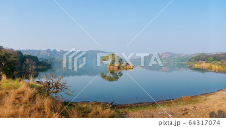 Serene morning on lake Padma Talao. Ranthambore National Park, Rajasthan, India 64317074