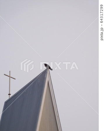 アイスランド セールフォス ルーテル教会 カラス アイスランド セールフォス ルーテル教会 カラス 64317299