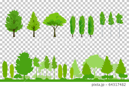 樹插圖集和樹景觀 64317482