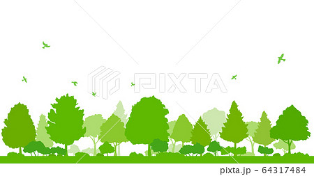 緑豊かな木々と飛ぶ鳥の風景 緑豊かな木々と飛ぶ鳥の風景 64317484