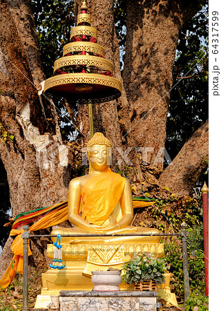 Buddha statues in Wat Niwet Thammaprawat temple 64317599