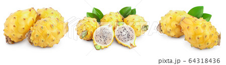 Ripe Dragon fruit, Pitaya or Pitahaya yellow isolated on white background, fruit healthy concept. Set or collection Ripe Dragon fruit, Pitaya or Pitahaya yellow isolated on white background, fruit healthy concept. Set or collection 64318436